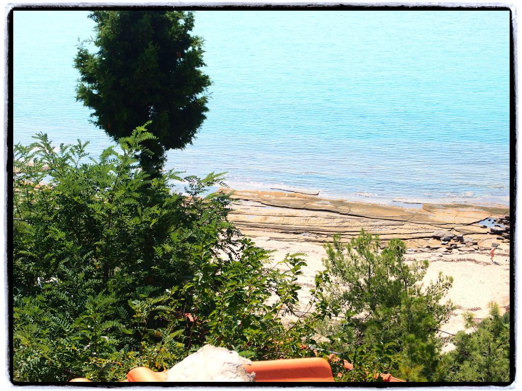 Studios Thanasis Limenaria  Ngoại thất bức ảnh